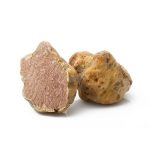 Fresh White Truffle (Tuber Magnatum Pico)