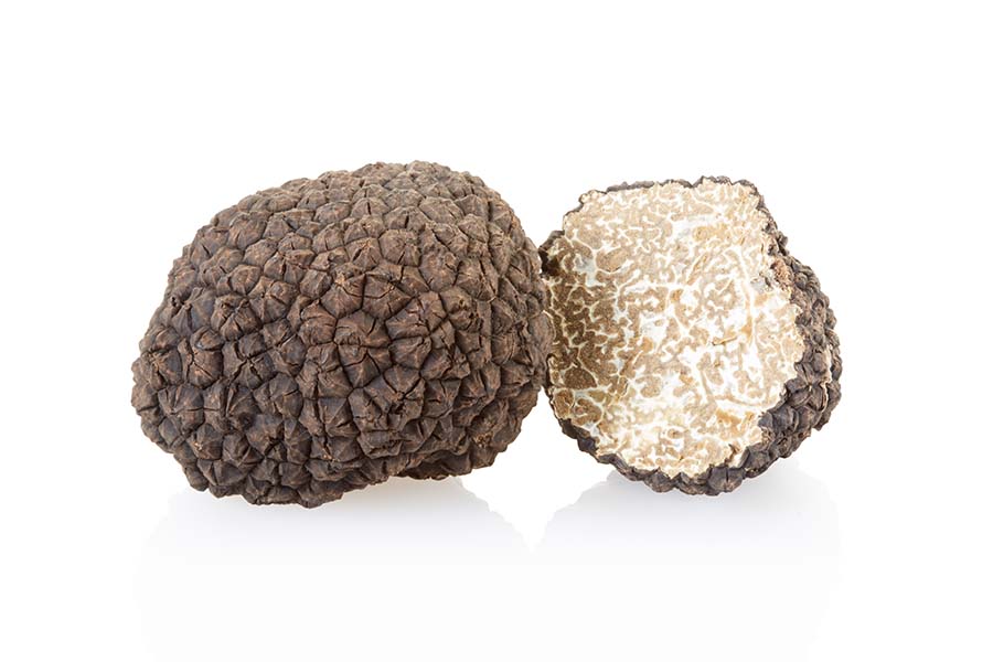 Come Conservare Il Tartufo In Frigo
