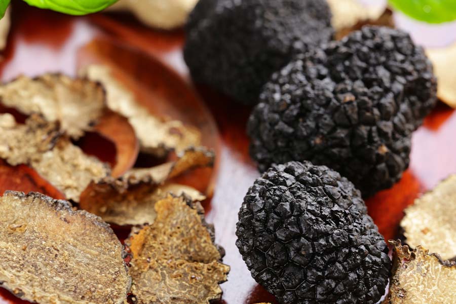 Come Conservare Il Tartufo: Piccoli E Utili Consigli