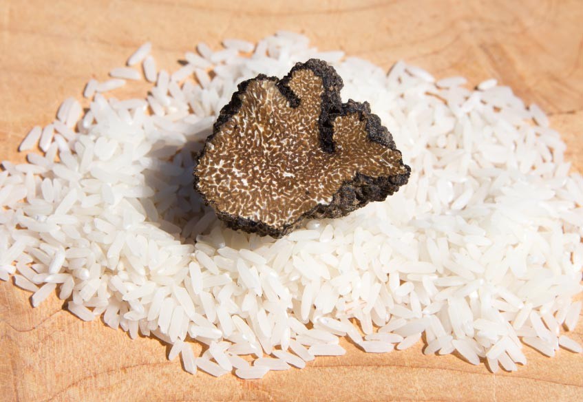 “Picena” Cool Rice With Fresh Summer Truffle