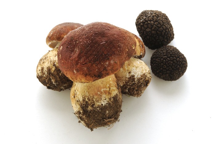 Porcini E Tartufo, La Coppia Perfetta