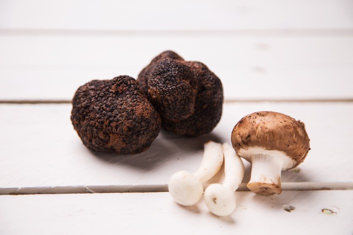 Tartufo E Funghi, Qual è La Differenza?