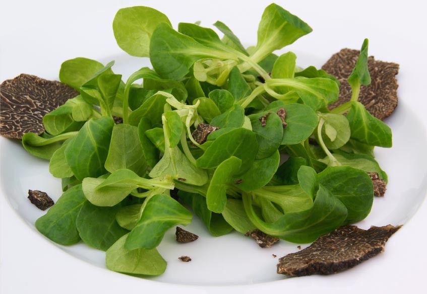 White Truffle Salad