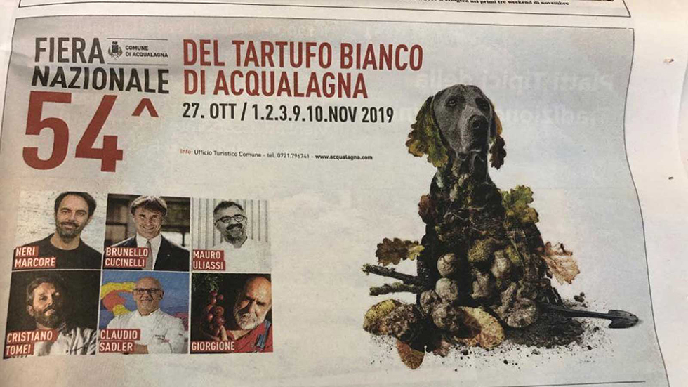 Locandina Dell’evento 54° Fiera Del Tartufo Bianco Pregiato Di Acqualagna