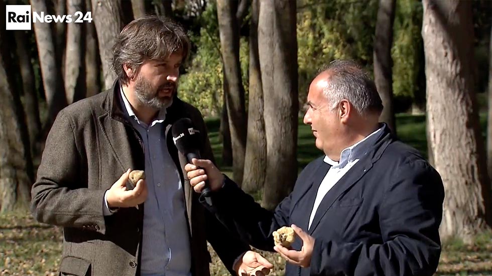 Servizio Andato In Onda Su Rai TG 24 Il 3/11/2019 Su T&C Tartufi – Intervista A Thomas Clementi
